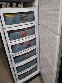 vertical freezer