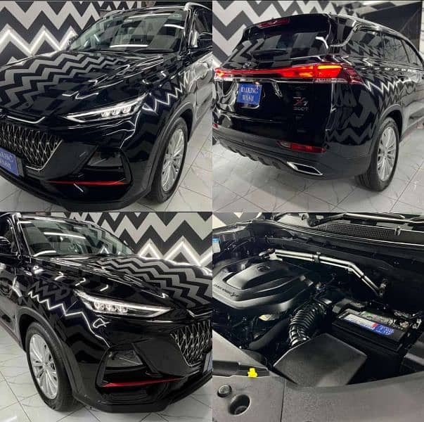 Changan Oshan X7 2024 0