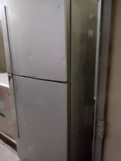 Pel Fridge