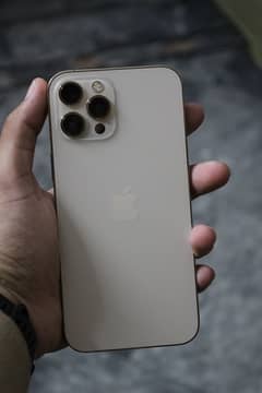 iphone 12 pro max 128gb pta approved