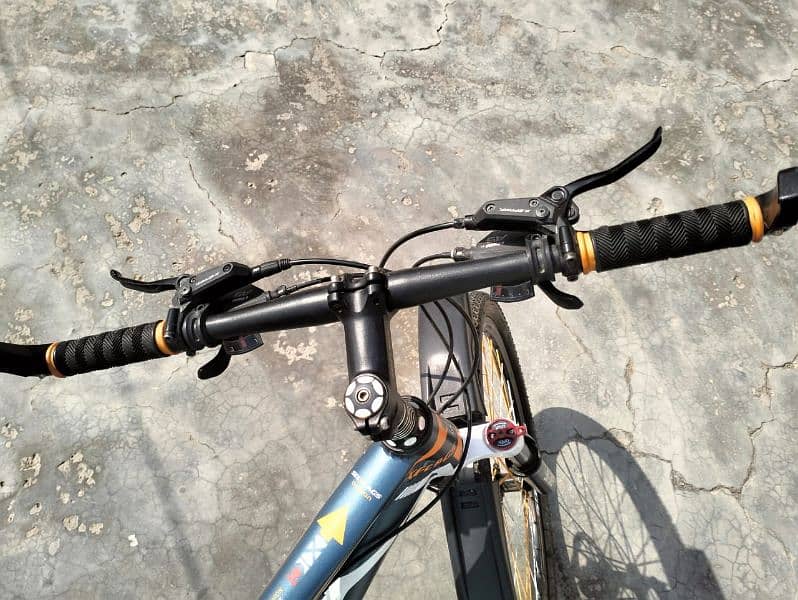 Six flags imported mountain bike model wl kw 01 1