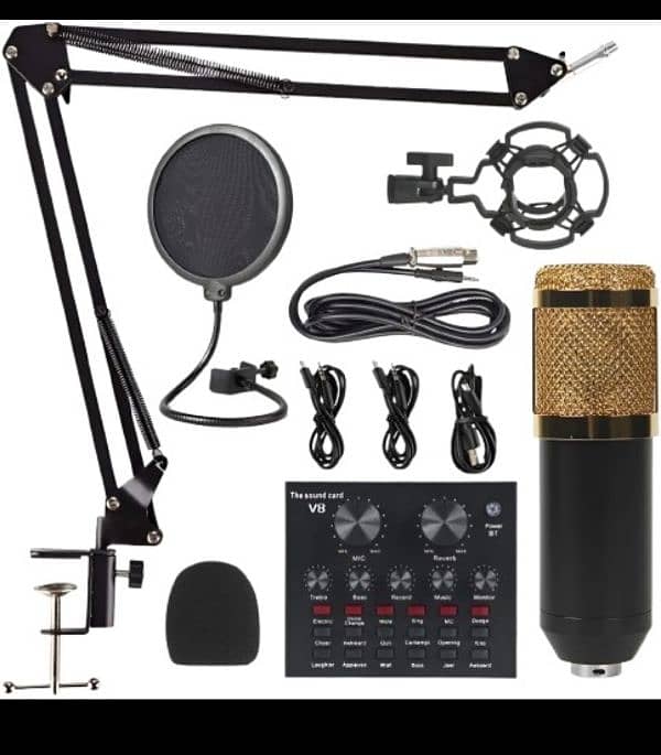 V8 BM-800 Condenser Microphone Metal Body 0