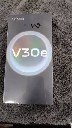 v30e 8/256