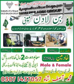 Vecancies Available / Job/Jobs /Jobs in Saudia Arabia / Staff Required