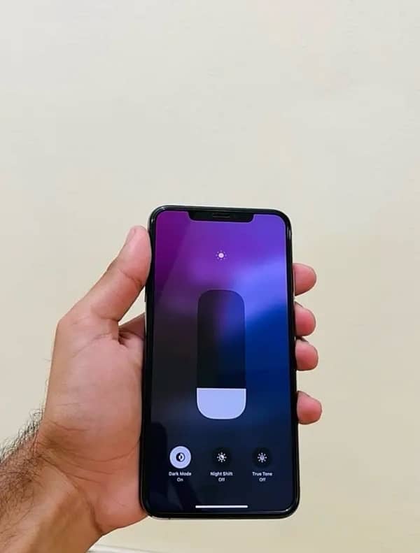 iPhone xs  Max factory unlocked non pta 256 2