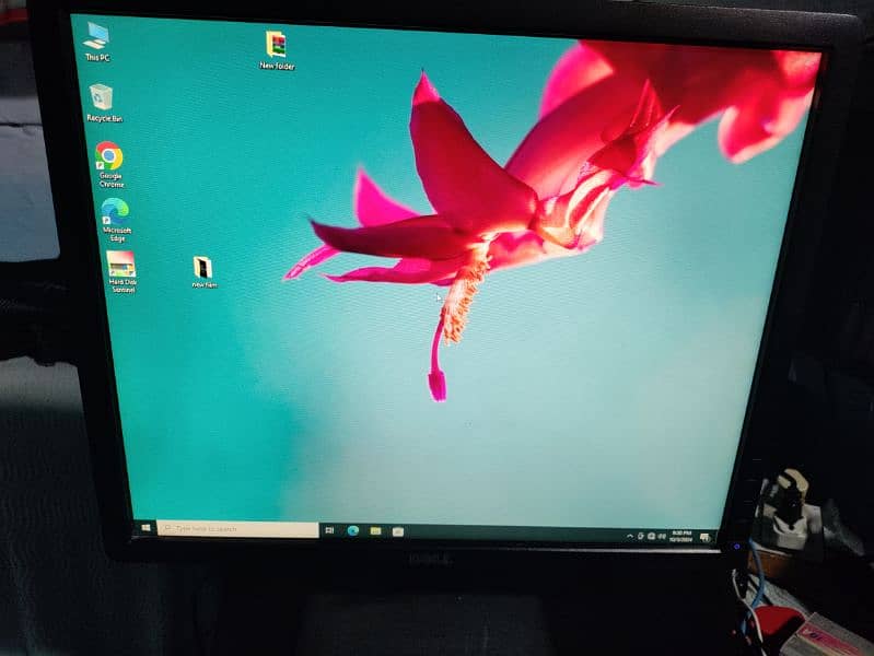 DELL BRANDED LCD 19 INCH BIG DISPLAY CLEAR VIEW. 03122810637 2