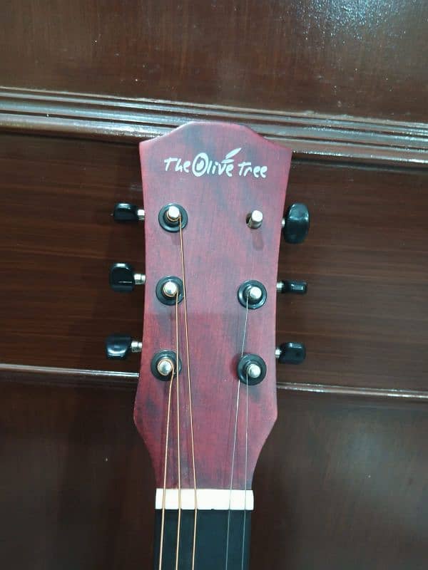 olive tree Guiter 2