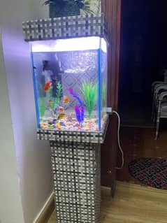 aquarium tank available  fish tank aquarium