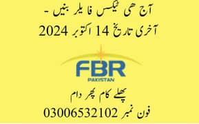 Income Tax Returns 2024 FBR