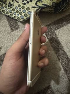 iphone 6