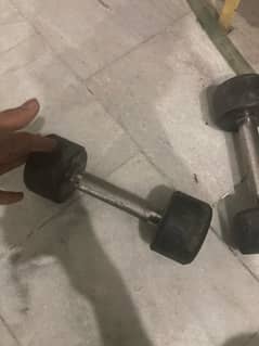 3kg dumbbells