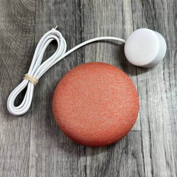 Google Nest Mini with Google Assistant like Amazon Alexa 3