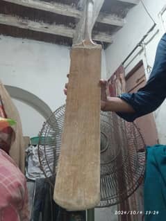 coconut bat urgent sale