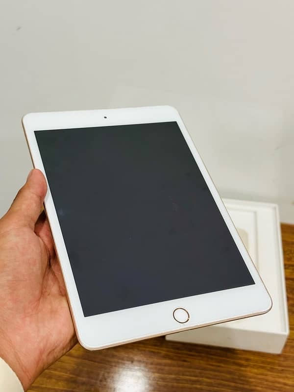 i pad mini 5 1