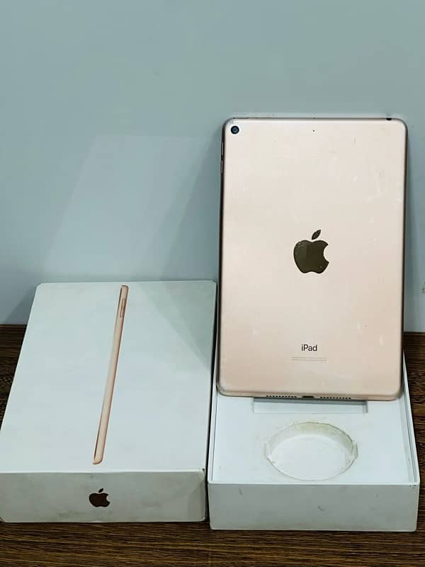 i pad mini 5 2