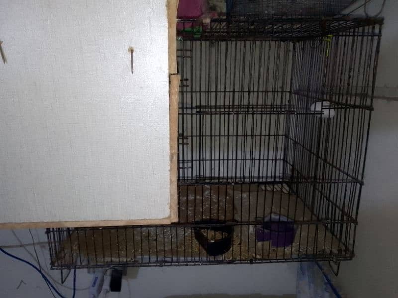 love birds ka cage for sale ha 1