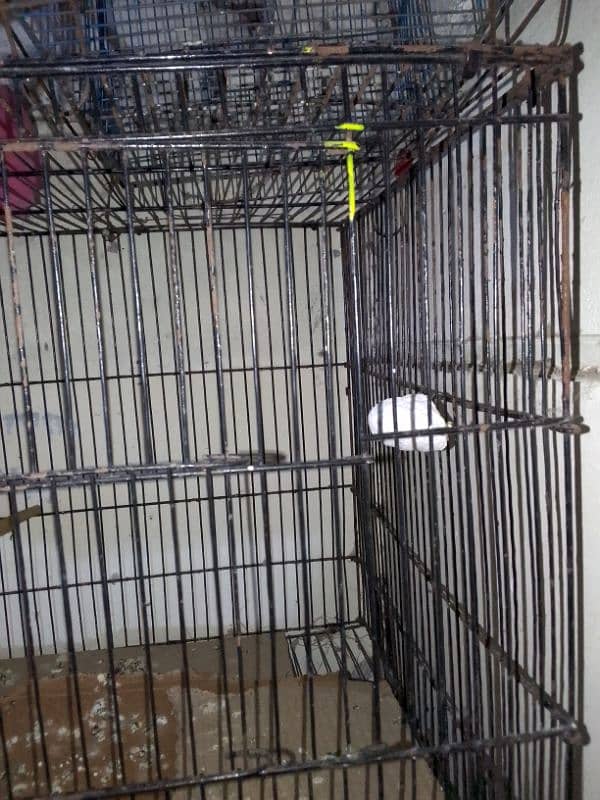 love birds ka cage for sale ha 2