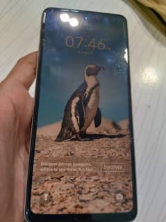 Tecno spark 10 pro 8+8/256 gb