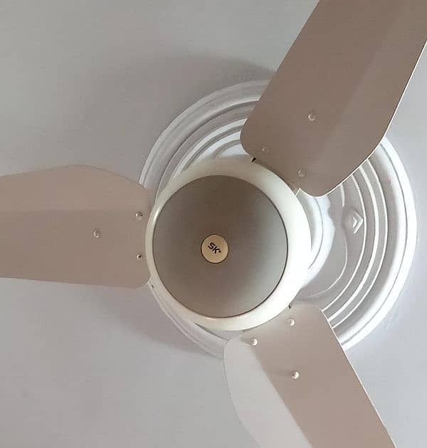 5 celling  fan, 2 wall fan, 1 pedestal fan, 1 tea table (urgent sale) 1