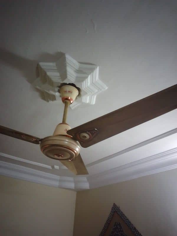 5 celling  fan, 2 wall fan, 1 pedestal fan, 1 tea table (urgent sale) 4