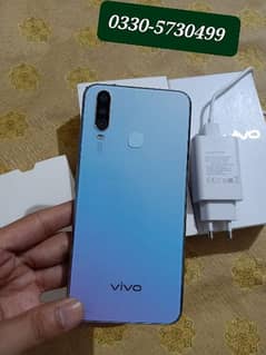 Vivo