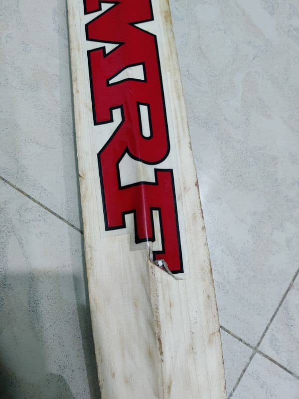 CA, Enligh willow bat with MRF Sticker 1