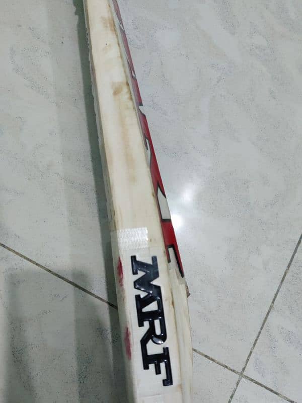 CA, Enligh willow bat with MRF Sticker 2