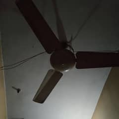 ceiling fan