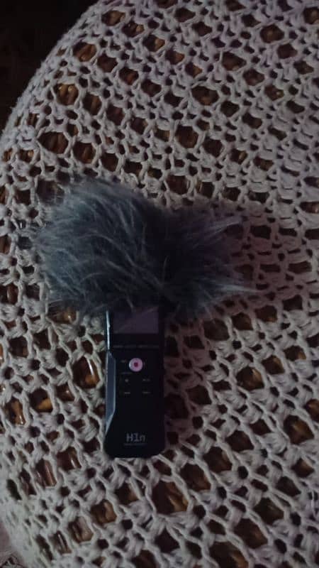 zoom H1n mic best mic ha 2