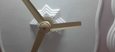 ceiling fans