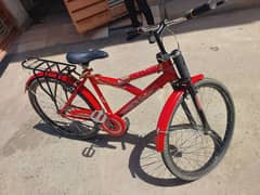 Full Size bicycle 16000 03256785798