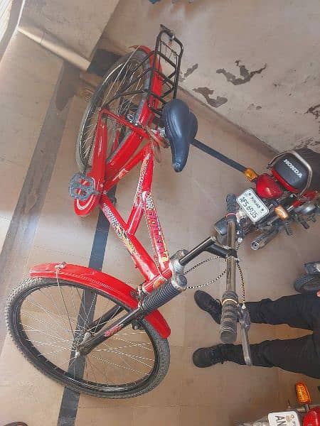 Full Size bicycle 16000 03256785798 2