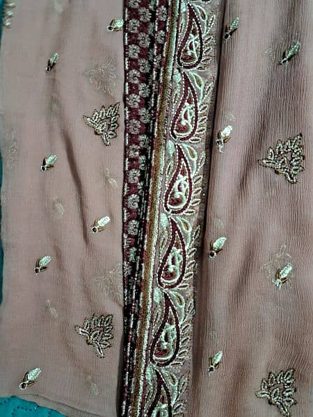 Crinkle chiffon embroidered suit 2