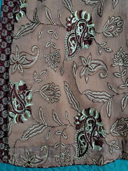 Crinkle chiffon embroidered suit 3