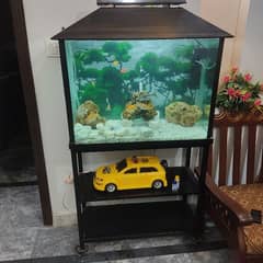 Fish aquarium like new condition