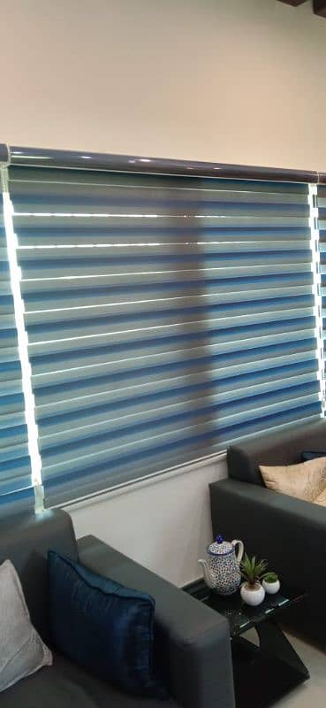 window blinds (zebra) 3