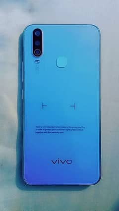 Vivo