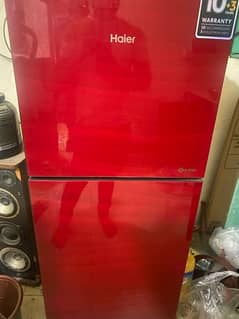 Small  Haier Refrigerator  in Red Color