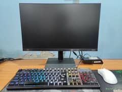 Samsung 24Inches BorderLess IPS 75Hz Gaming LED Monitor