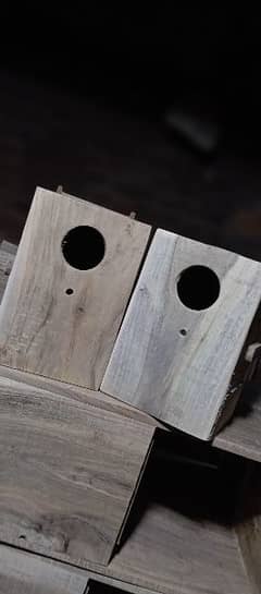 love birds box available kiker wood may