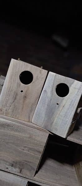 love birds box available kiker wood may 0