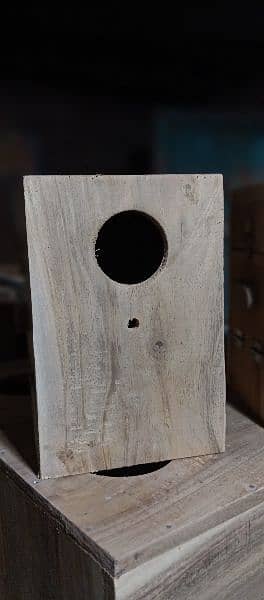 love birds box available kiker wood may 1