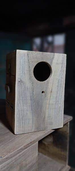 love birds box available kiker wood may 2