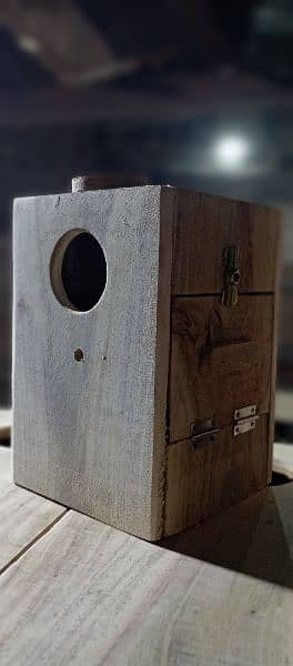 love birds box available kiker wood may 3