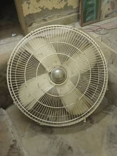 fan