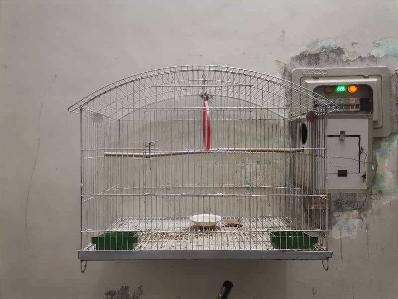 LoveBird pair for sale with Cage and Breeding box 3