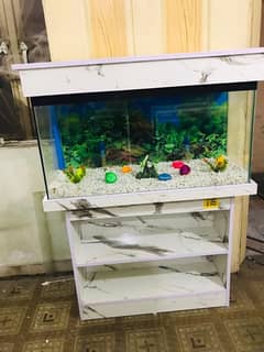 3fit brand new fish aquarium 0311/4440283