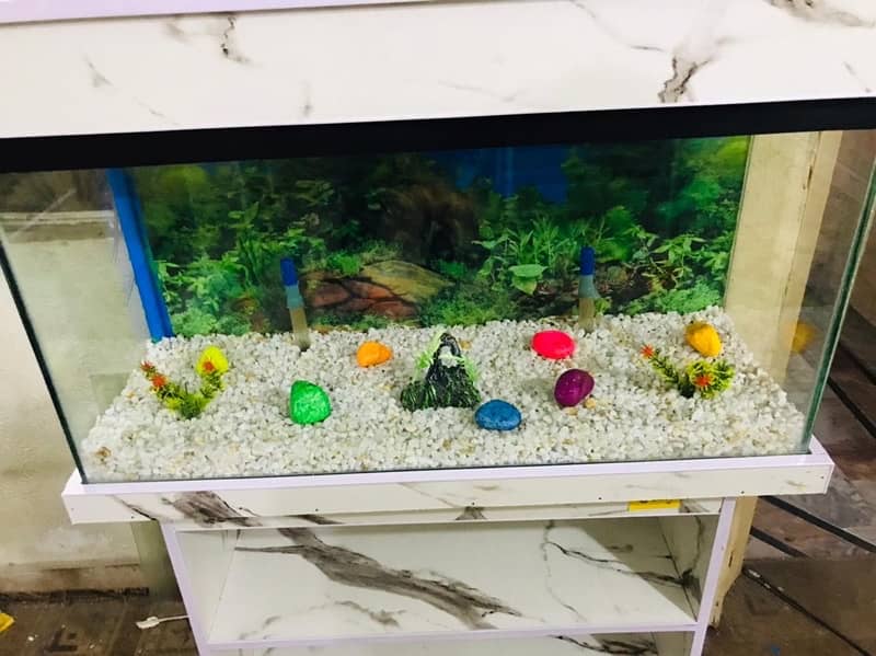 3fit brand new fish aquarium 0311/4440283 2