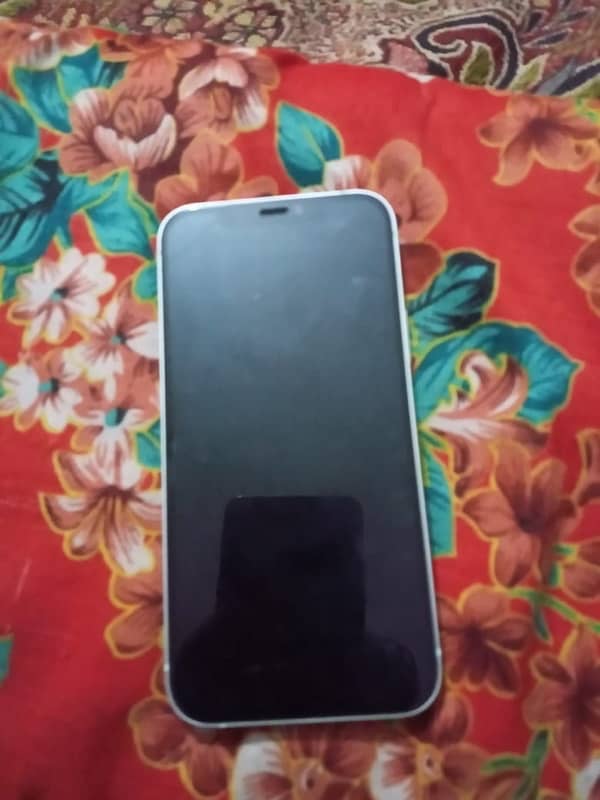 i phone 12 256 Gb non pta 1