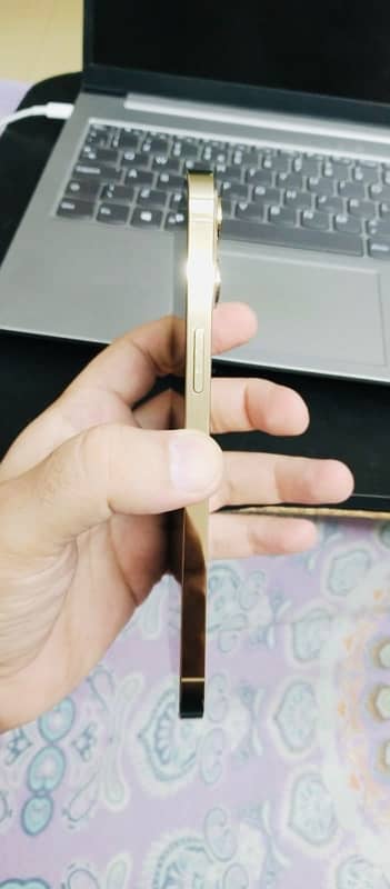 iPhone 12 Pro Max 256 GB Golden 10/10 2